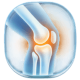 Orthopaedic & Joint Replacement icon