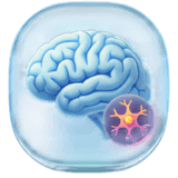 Brain, Spine & Neurology icon