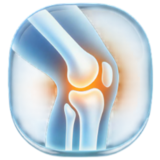 Orthopaedic & Joint Replacement icon